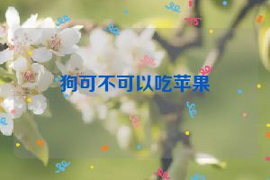 狗可不可以吃苹果