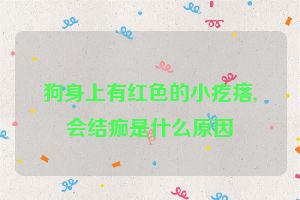 狗身上有红色的小疙瘩,会结痂是什么原因