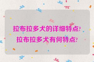 拉布拉多犬的详细特点?拉布拉多犬有何特点?