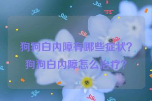 狗狗白内障有哪些症状？狗狗白内障怎么治疗？
