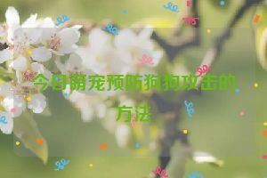 今日萌宠预防狗狗攻击的方法