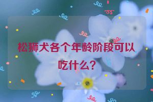 松狮犬各个年龄阶段可以吃什么？