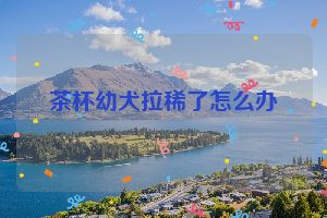 茶杯幼犬拉稀了怎么办