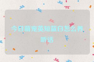 今日萌宠英短蓝白怎么养听话