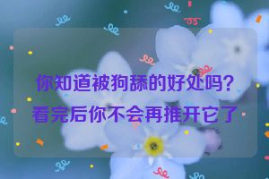 你知道被狗舔的好处吗？看完后你不会再推开它了