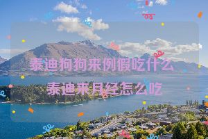 泰迪狗狗来例假吃什么 泰迪来月经怎么吃