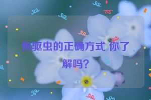 狗驱虫的正确方式 你了解吗？