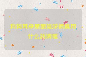 狗狗耳朵里面流脓很臭用什么药清理
