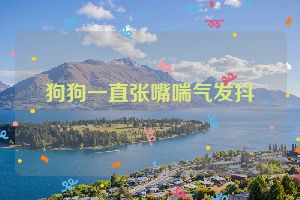 狗狗一直张嘴喘气发抖