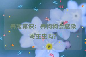 养宠常识：养狗狗会感染寄生虫吗？