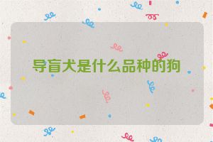 导盲犬是什么品种的狗