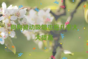 狗狗被动吸烟患癌几率大大提高