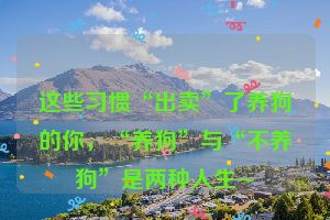 这些习惯“出卖”了养狗的你，“养狗”与“不养狗”是两种人生~