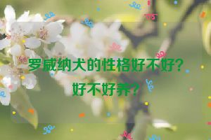 罗威纳犬的性格好不好？好不好养？