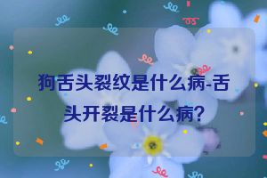 狗舌头裂纹是什么病-舌头开裂是什么病？