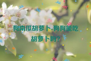 狗南瓜胡萝卜-狗狗能吃胡萝卜吗？