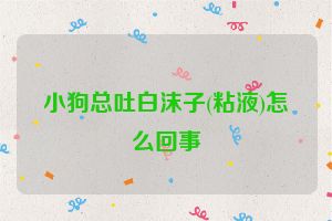 小狗总吐白沫子(粘液)怎么回事