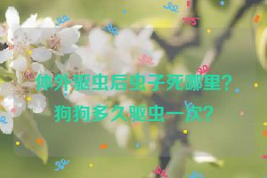体外驱虫后虫子死哪里？狗狗多久驱虫一次？