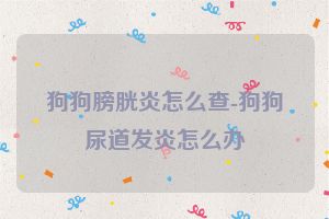 狗狗膀胱炎怎么查-狗狗尿道发炎怎么办