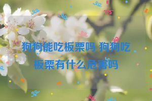 狗狗能吃板栗吗 狗狗吃板栗有什么危害吗