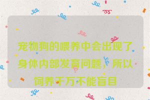 宠物狗的喂养中会出现了身体内部发育问题，所以饲养千万不能盲目