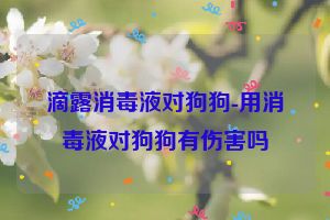 滴露消毒液对狗狗-用消毒液对狗狗有伤害吗