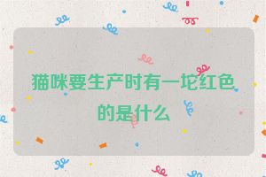 猫咪要生产时有一坨红色的是什么