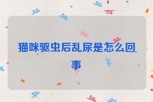 猫咪驱虫后乱尿是怎么回事