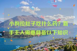 小狗拉肚子吃什么药？新手主人需要具备以下知识