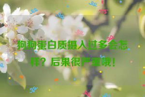 狗狗蛋白质摄入过多会怎样？后果很严重哦！