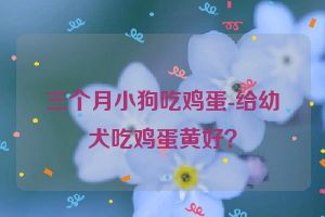 三个月小狗吃鸡蛋-给幼犬吃鸡蛋黄好？