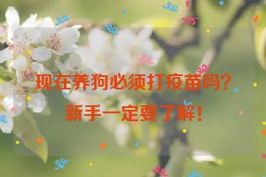 现在养狗必须打疫苗吗？新手一定要了解！