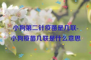 小狗第二针疫苗是几联-小狗疫苗几联是什么意思