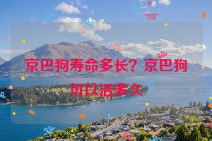 京巴狗寿命多长？京巴狗可以活多久