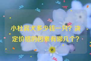 小杜宾犬多少钱一只？决定价格的因素有哪几个？