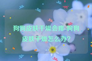 狗狗皮肤干燥会痒-狗狗皮肤干燥怎么办？