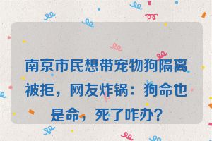 南京市民想带宠物狗隔离被拒，网友炸锅：狗命也是命，死了咋办？