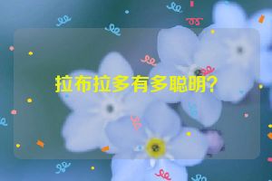 拉布拉多有多聪明？