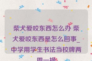 柴犬爱咬东西怎么办 柴犬爱咬东西是怎么回事_中学用学生书法当校牌两周一换