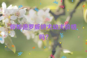 你知道罗威纳犬幼犬价格吗？