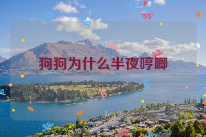狗狗为什么半夜哼唧
