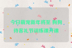 今日萌宠新年将至 狗狗待客礼节训练课开课