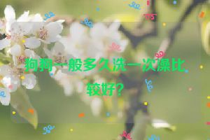 狗狗一般多久洗一次澡比较好？