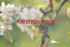 犬骨折的治疗原则