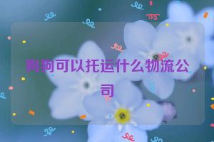 狗狗可以托运什么物流公司