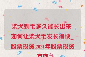 柴犬剃毛多久能长出来 如何让柴犬毛发长得快_股票投资,2021年股票投资方向