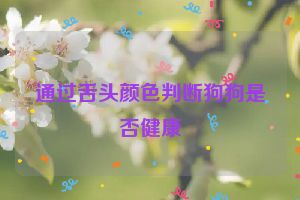 通过舌头颜色判断狗狗是否健康