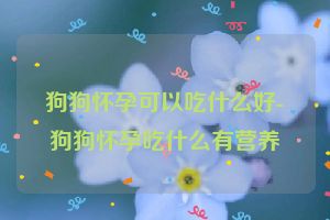 狗狗怀孕可以吃什么好-狗狗怀孕吃什么有营养