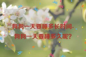 狗狗一天要睡多长时间-狗狗一天要睡多久呢？