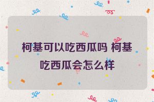 柯基可以吃西瓜吗 柯基吃西瓜会怎么样